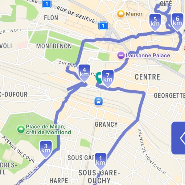 猫との暮らしを夢見て